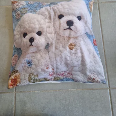 Magnifique housse de coussin 45x45cm 